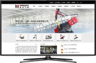 上海奉贤企业网络建设指南 专业网站设计与公司选择