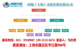 上海企业全网整合营销推广专业公司 驱动企业网络增长的新引擎