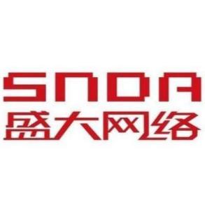 上海盛大网络 从游戏巨头到多元化科技企业的网络发展之路
